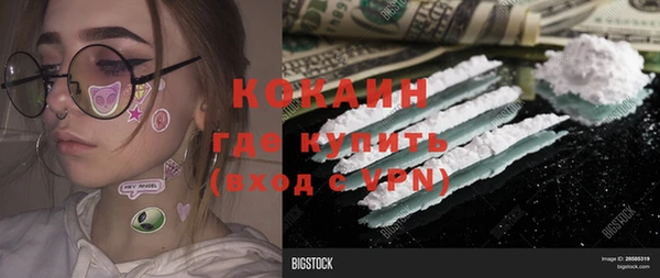 гидропоника Пересвет