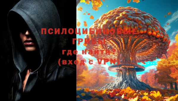 прущий лед Пестово