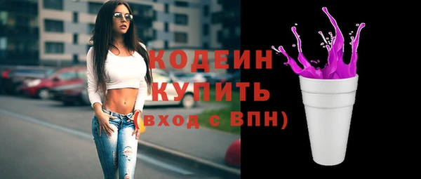 прущий лед Пестово